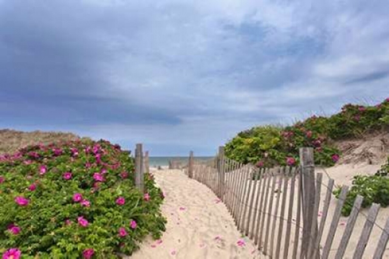 Rose Path Poster Print by Katherine Gendreau - Item # VARPDXG759D